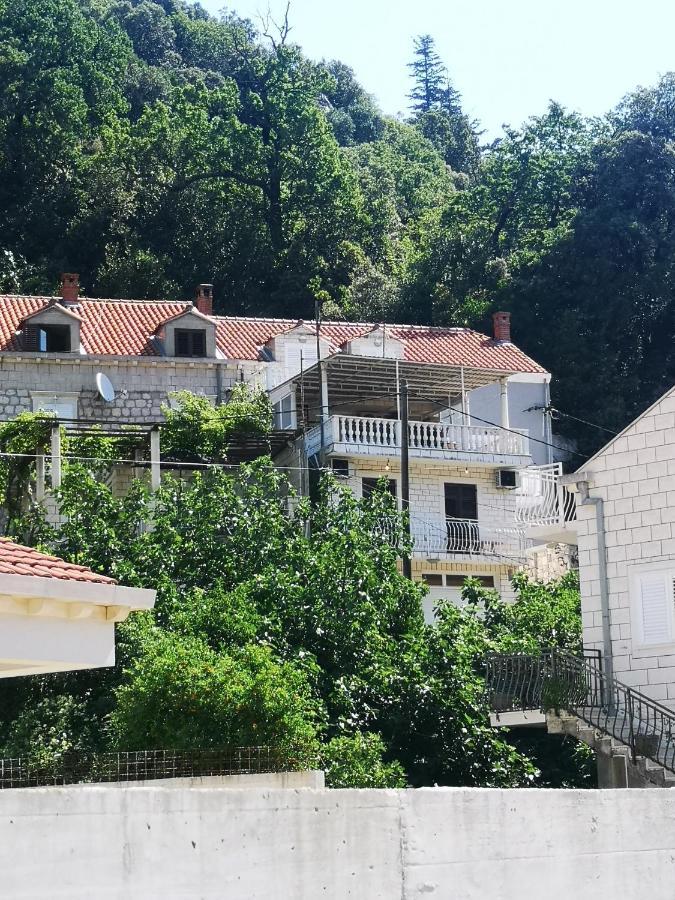Apartment House Of Artichoke With Amazing Sea View, Dubrovnik Mokošica Esterno foto